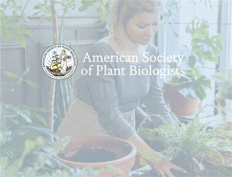 Plantae Job Center – Post your resumes and jobs today.